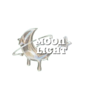 Moonlight Dance Academy aka MDA
