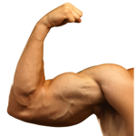 Large Arm Studios