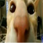 Jojiツ