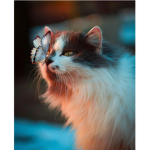 Chaos cats