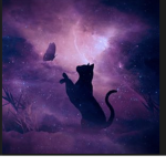 Cat squad ! :)