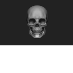 The Skull of the Creature