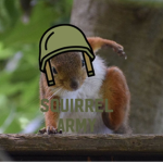 Squirrel Army (join the Squirrel Army)