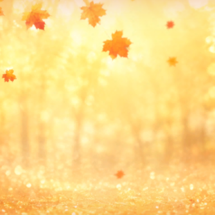 Golden Autumn Falling Leaves Background
