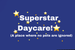 Superstar daycare! (no pets are ignored!)