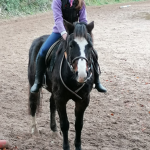 Starlight ridding school