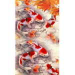 Tokyo Koi Club