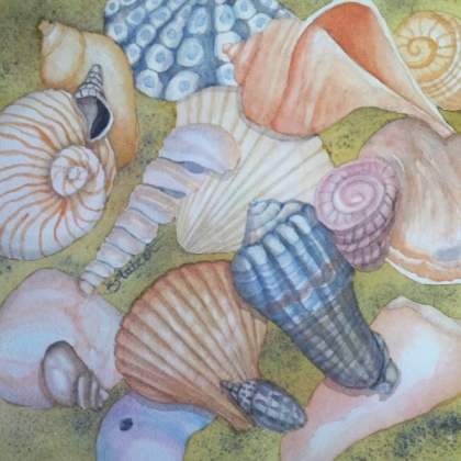 Seashells on the Beach Art Roblox decal