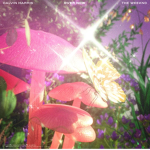 Leena’s Butterflies!
