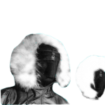 LeShmunkem