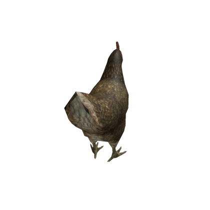 chick