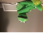 Kermit_The_Frog_likes_roblox