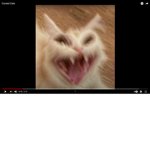 ccccaaaatttt