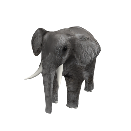 Elephant Suit