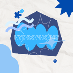 Hydrophobes