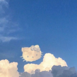 ᴘᴇᴀᴄᴇꜰᴜʟ ꜰʟᴏᴡᴇʀꜱ-