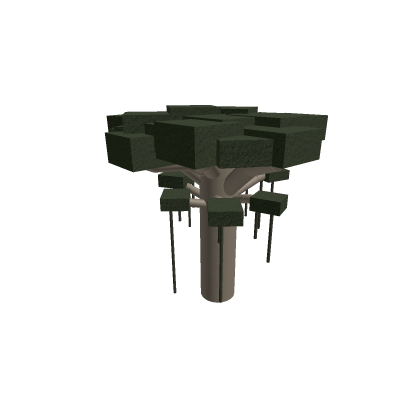Swamp tree