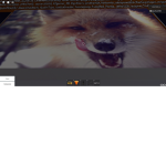 furry group BUT YOU CAN JOIN lol