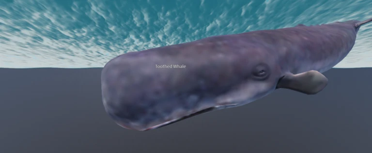 Shark PvE simulator (another update) - Roblox