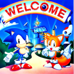 •Sonic forever•