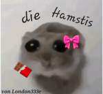 Die Hamstis
