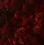 •Rose Garden•
