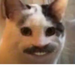 maatlagaming
