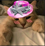 pinkandglitteryarethebest
