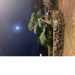 Bry_xxten