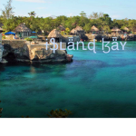 -Island Bay-