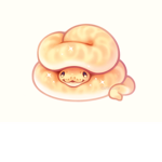 Sassy SnakeClub