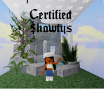 CERTIFED $HAWTYS