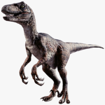 Raptorbite