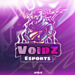 VoidZ Esports