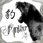 *P4nther Group Thumbnail