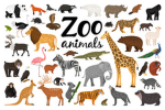 animals zoo comunity