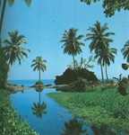 CoconutKingdom