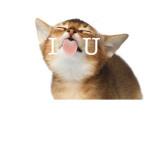 zal uwu