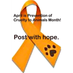 Animal and Child abuse fighters