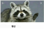 나는인싸너는아싸