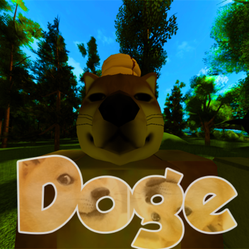 Doge