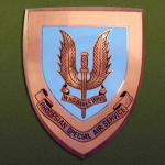 Commando Bush Teams