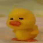 Fried Duck squad
