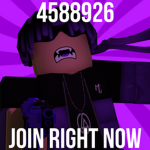Roblox fans polish-english