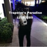 Trapstar’s Paradise