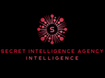 [USMR] Secret Intelligence Service