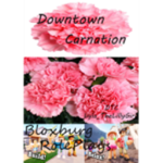Downtown Carnation Bloxburg Role Plays
