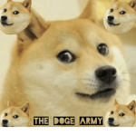 The doge army!!!!