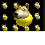Duck dog university