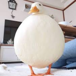 The_Duck_Military